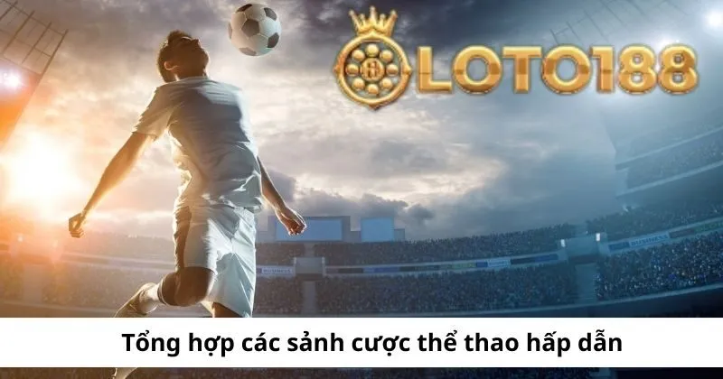 Các sảnh cá cược thể thao hấp dẫn tại Loto188